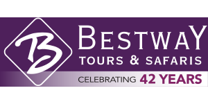 Bestway Tours & Safaris logo